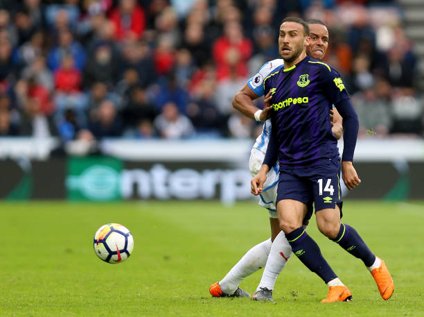 惯与选择 惯与选择